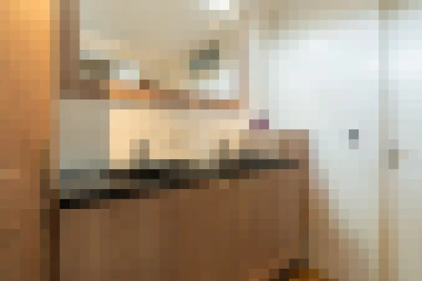 Graan voor Visch 18106 Hoofddorp thumbnail 33
