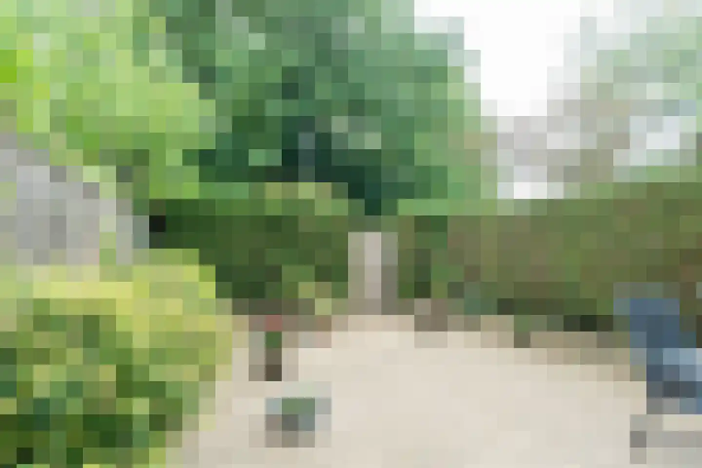 Graan voor Visch 18106 Hoofddorp thumbnail 46