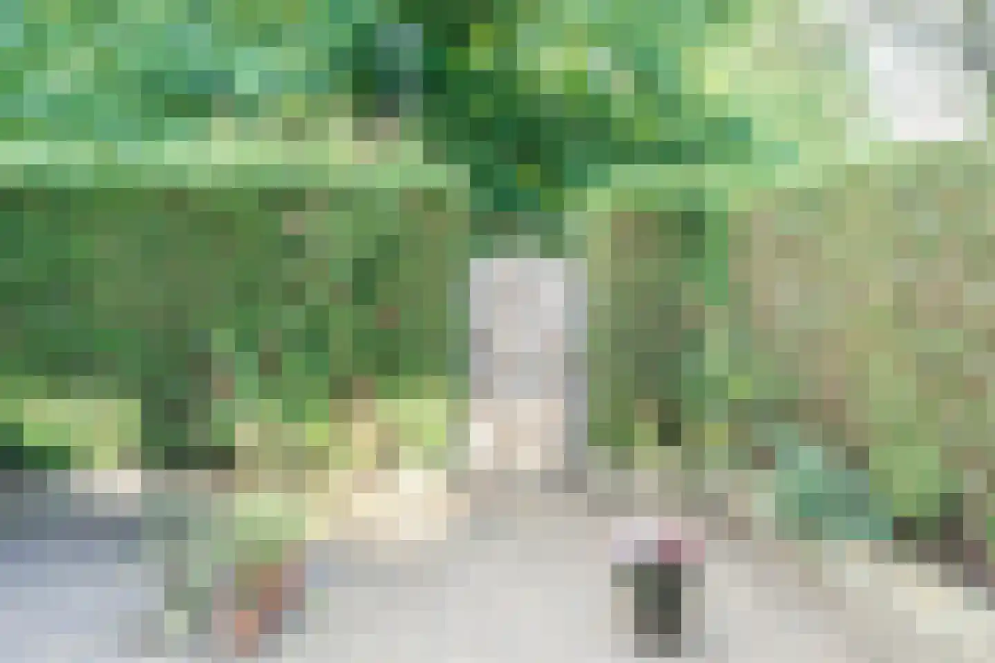 Graan voor Visch 18106 Hoofddorp thumbnail 50