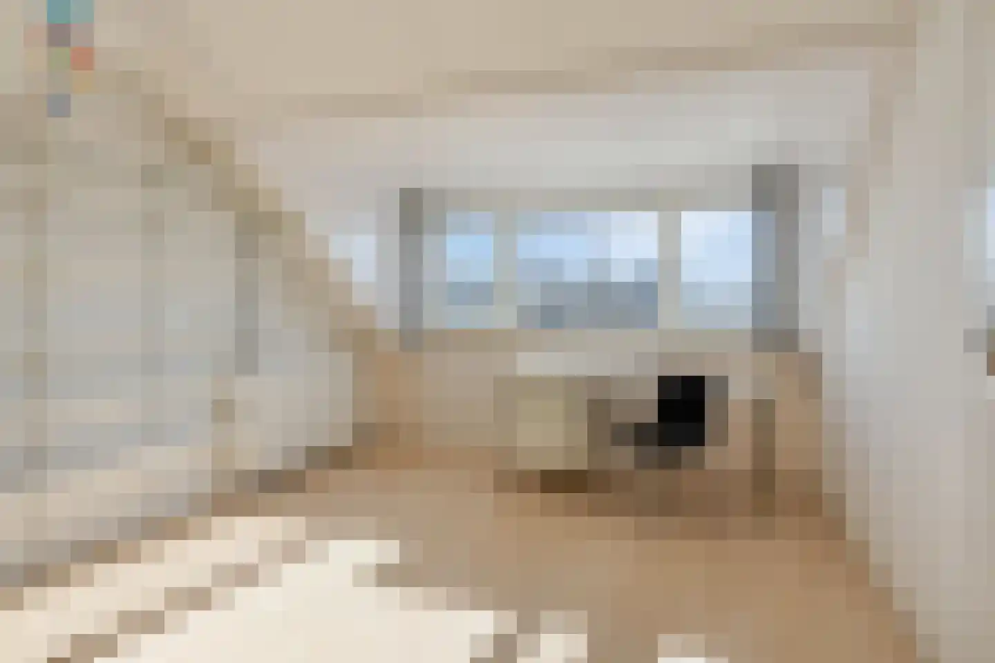 Graan voor Visch 18409 Hoofddorp thumbnail 30