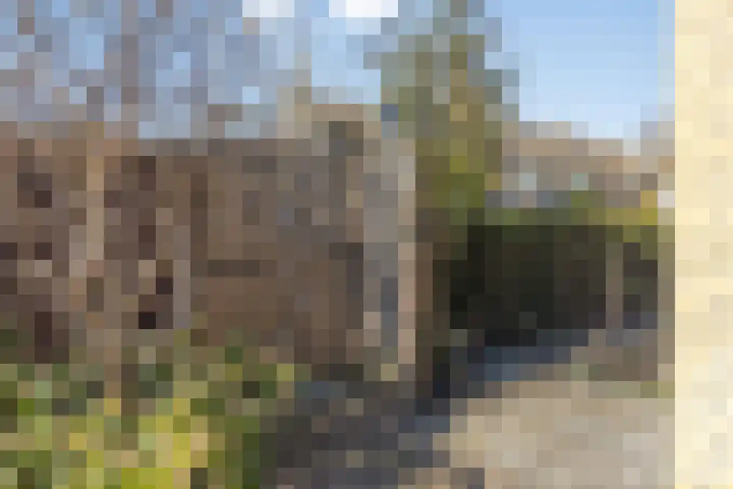 Graan voor Visch 18409 Hoofddorp thumbnail 32
