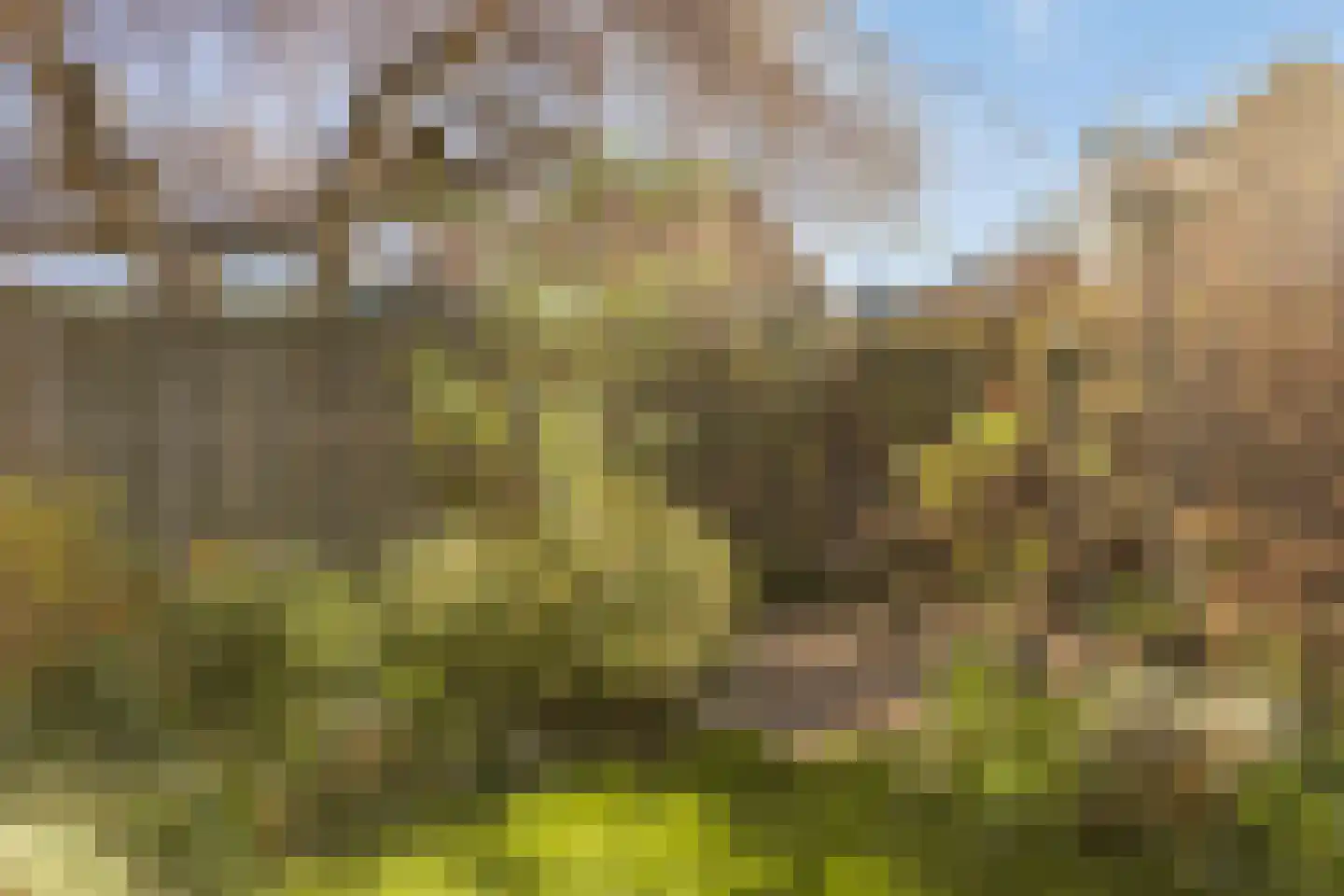 Graan voor Visch 18409 Hoofddorp thumbnail 34