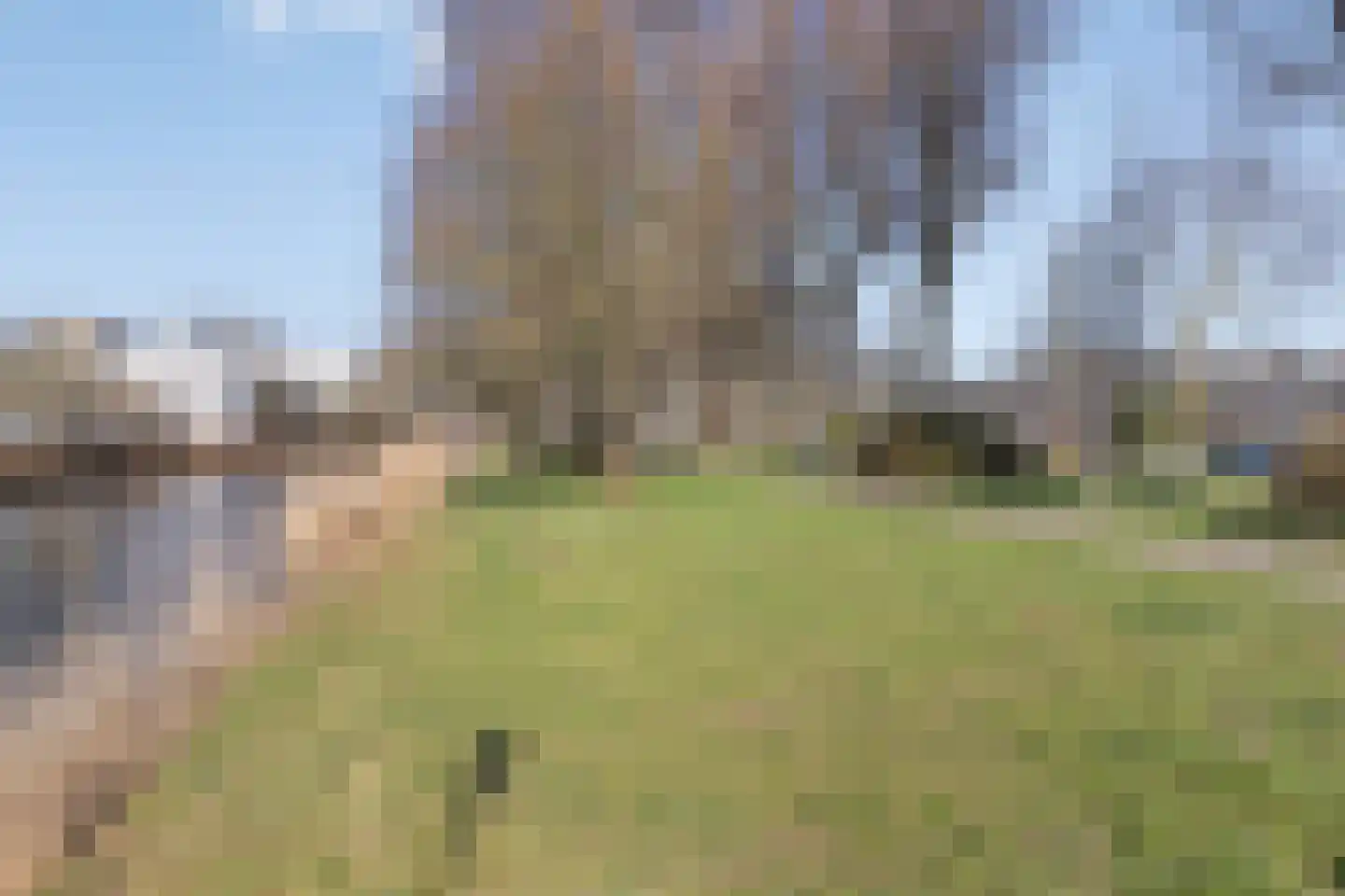 Graan voor Visch 18409 Hoofddorp thumbnail 40