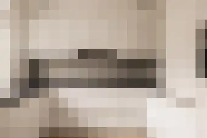 Graan voor Visch 18412 Hoofddorp thumbnail 10