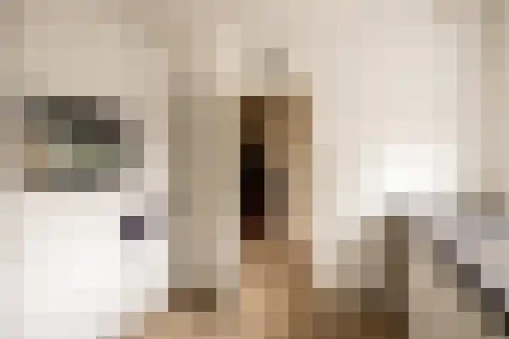 Graan voor Visch 18412 Hoofddorp thumbnail 11