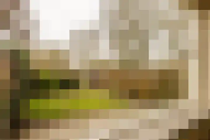 Graan voor Visch 18412 Hoofddorp thumbnail 13