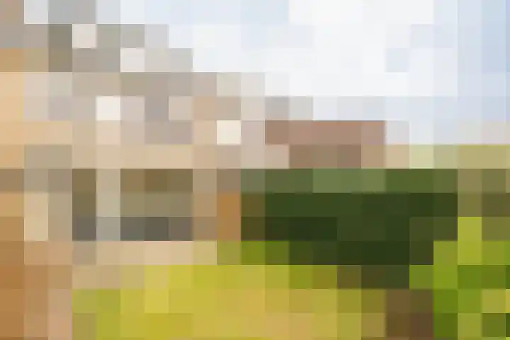 Graan voor Visch 18412 Hoofddorp thumbnail 14