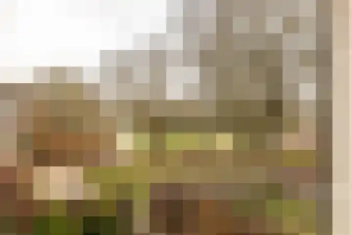 Graan voor Visch 18412 Hoofddorp thumbnail 21