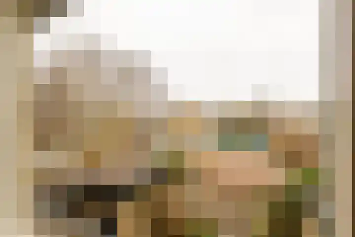 Graan voor Visch 18412 Hoofddorp thumbnail 22