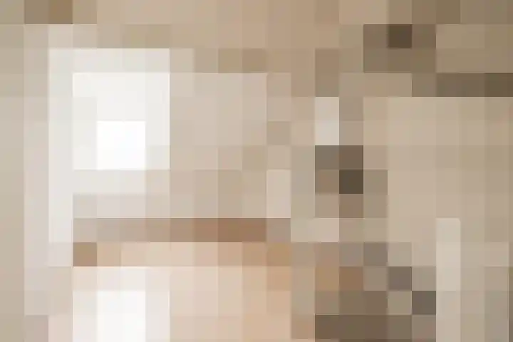 Graan voor Visch 18412 Hoofddorp thumbnail 26