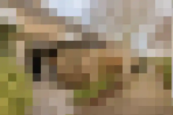 Graan voor Visch 18412 Hoofddorp thumbnail 30