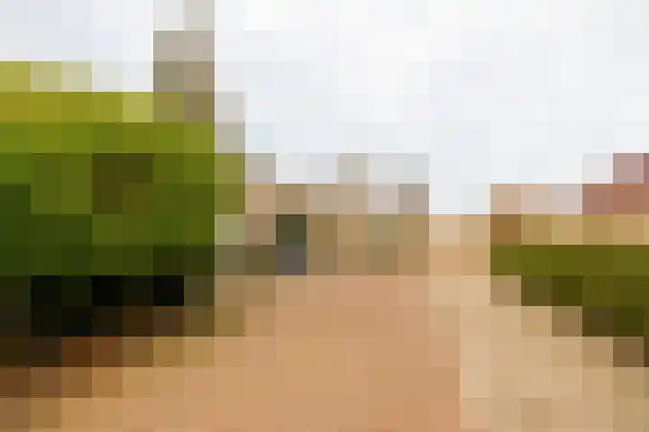 Graan voor Visch 18412 Hoofddorp thumbnail 33