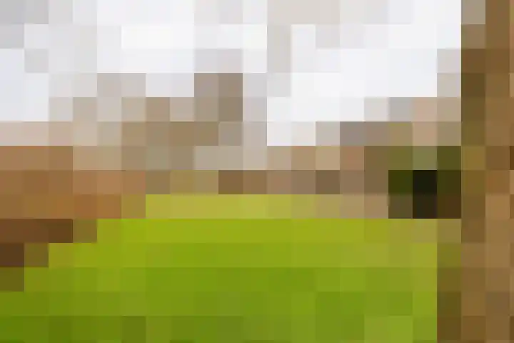 Graan voor Visch 18412 Hoofddorp thumbnail 34