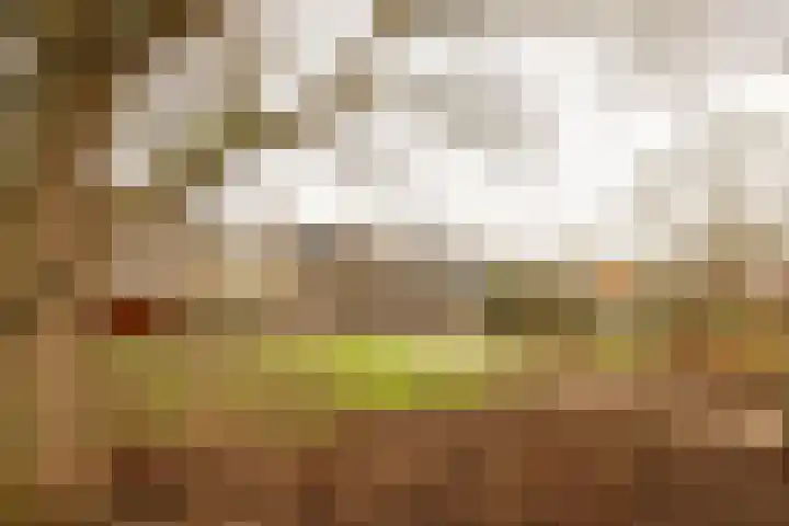 Graan voor Visch 18412 Hoofddorp thumbnail 36