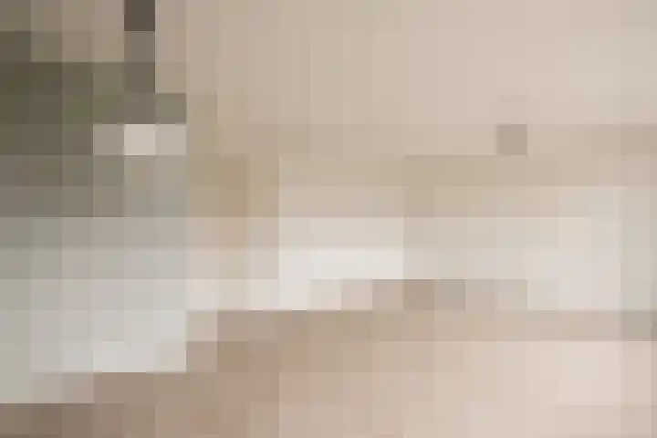 Graan voor Visch 18412 Hoofddorp thumbnail 4