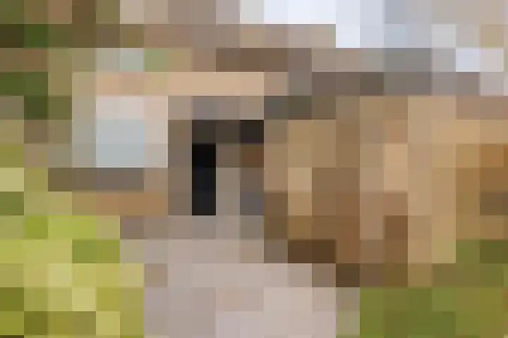Graan voor Visch 18412 Hoofddorp thumbnail 5