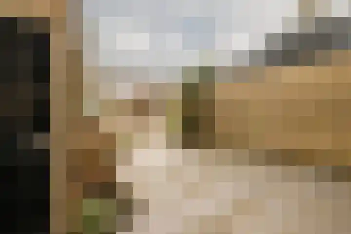 Graan voor Visch 18412 Hoofddorp thumbnail 6