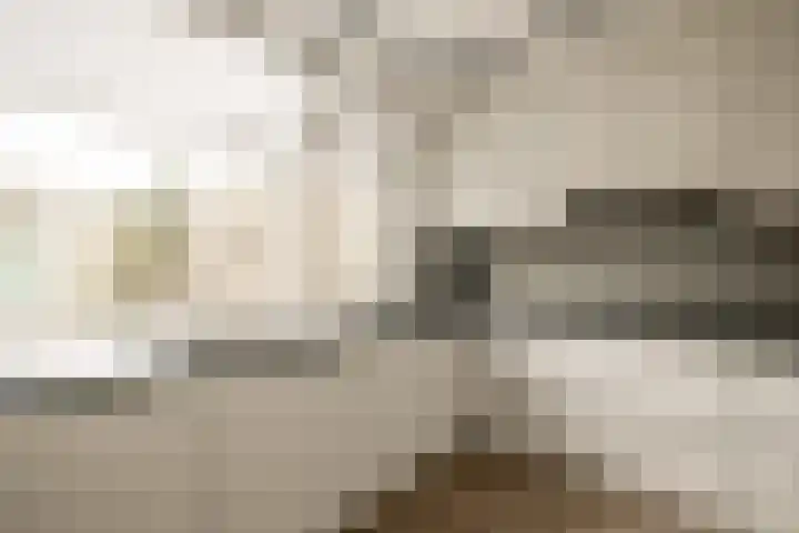 Graan voor Visch 18412 Hoofddorp thumbnail 9