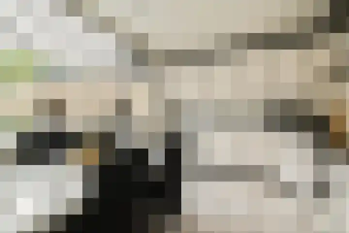 Graan voor Visch 18505 Hoofddorp thumbnail 10