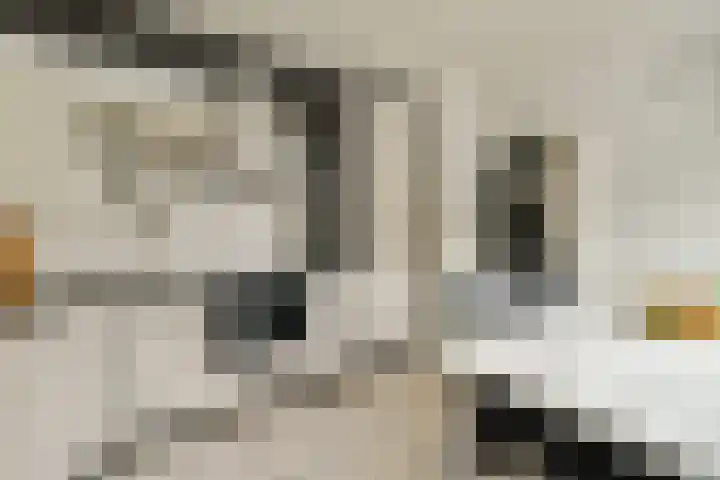 Graan voor Visch 18505 Hoofddorp thumbnail 11