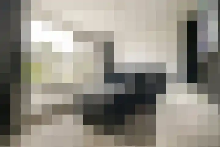 Graan voor Visch 18505 Hoofddorp thumbnail 14