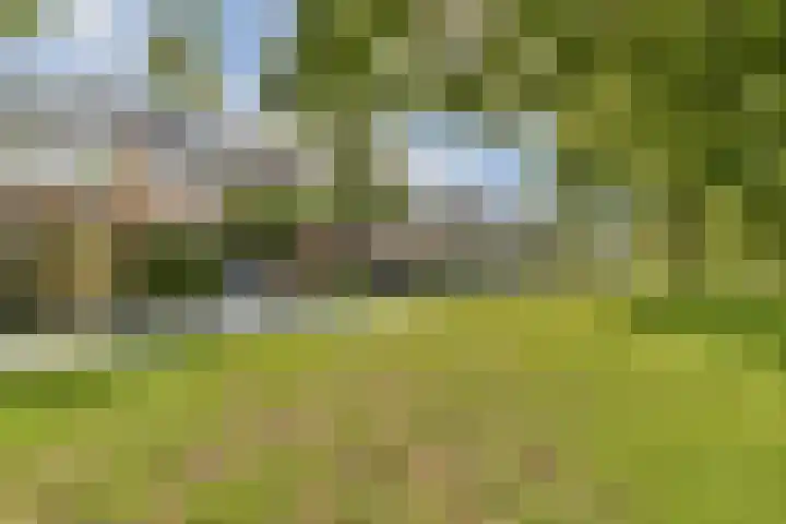 Graan voor Visch 18505 Hoofddorp thumbnail 19