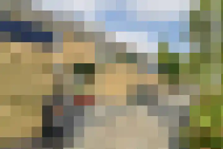 Graan voor Visch 18505 Hoofddorp foto 2