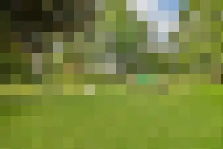 Graan voor Visch 18505 Hoofddorp thumbnail 21