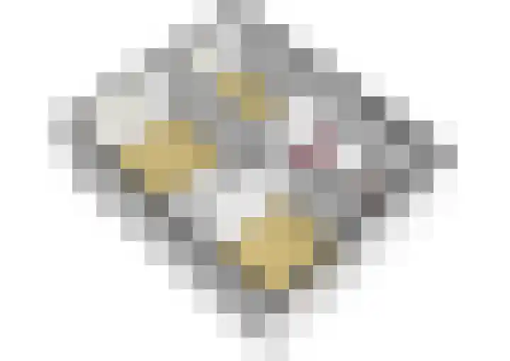 Graan voor Visch 18505 Hoofddorp thumbnail 26