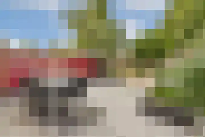 Graan voor Visch 18505 Hoofddorp thumbnail 7
