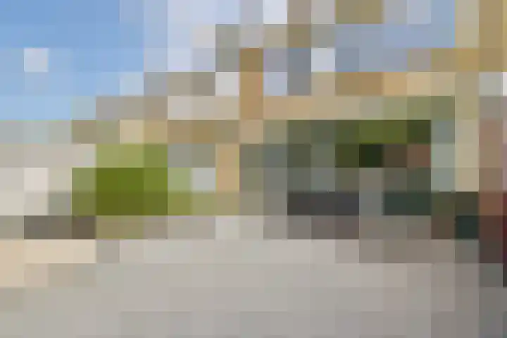Graan voor Visch 18505 Hoofddorp thumbnail 9
