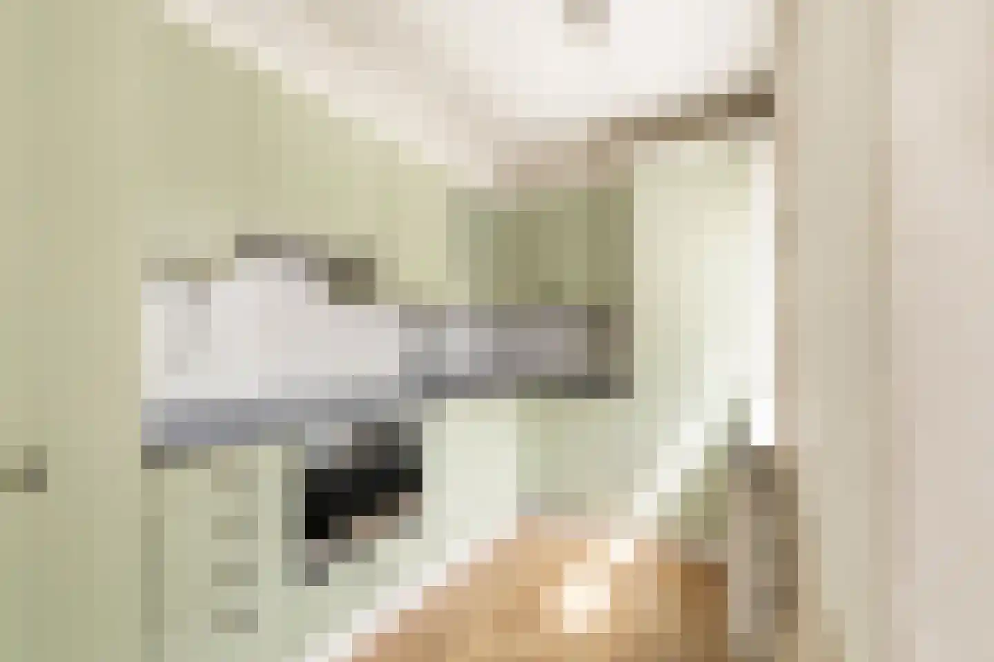 Graan voor Visch 18506 Hoofddorp thumbnail 13