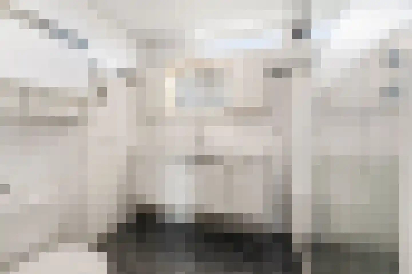 Graan voor Visch 18506 Hoofddorp thumbnail 23