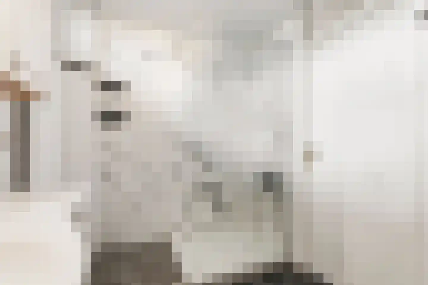 Graan voor Visch 18506 Hoofddorp thumbnail 24