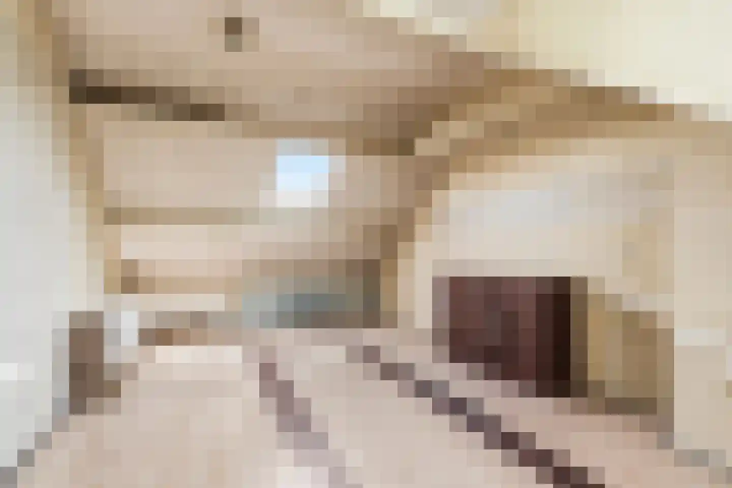 Graan voor Visch 18506 Hoofddorp thumbnail 27