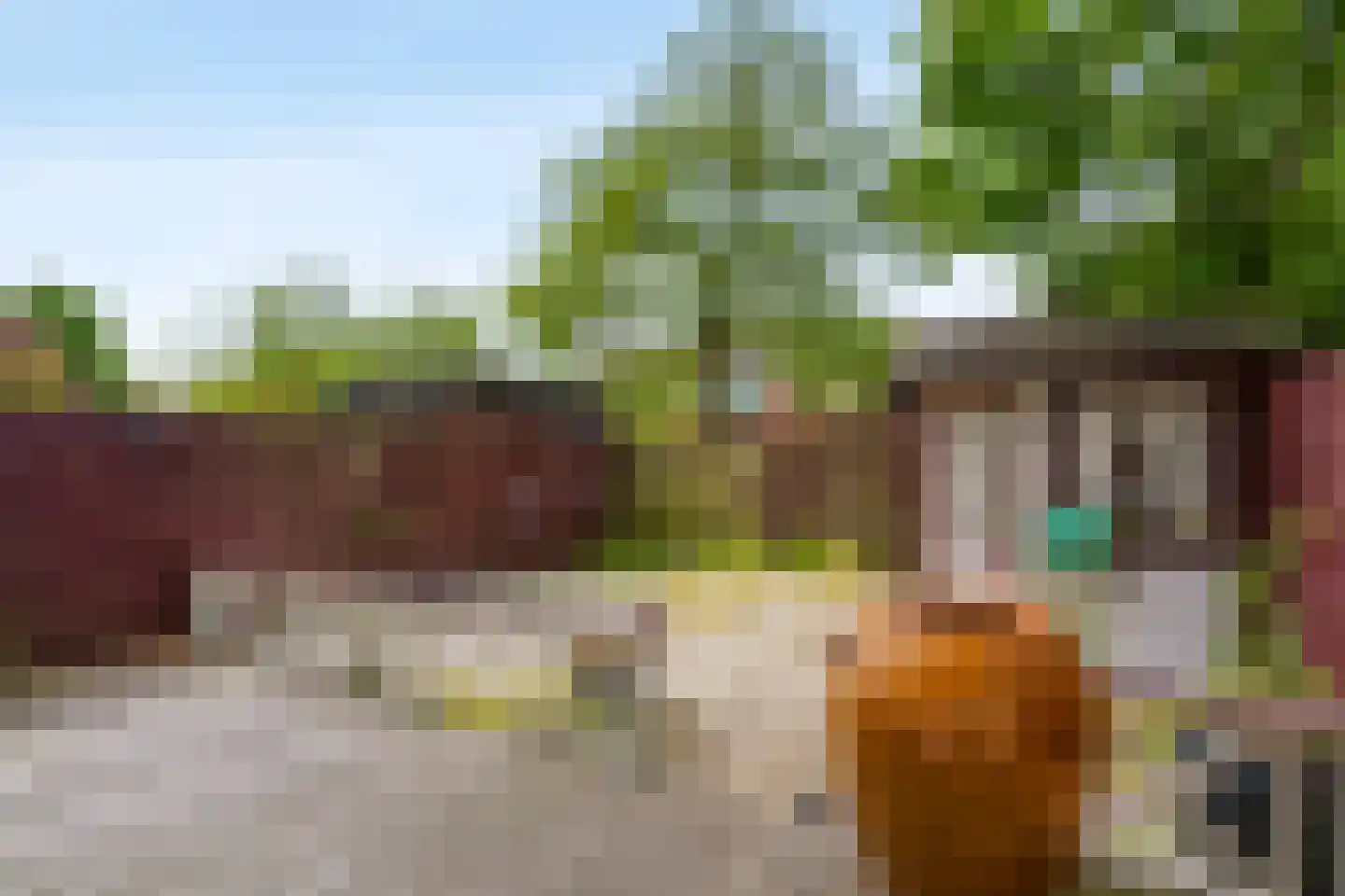Graan voor Visch 18506 Hoofddorp thumbnail 29