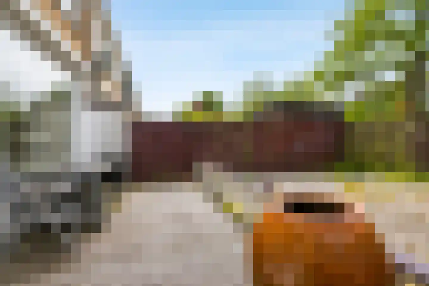 Graan voor Visch 18506 Hoofddorp thumbnail 30