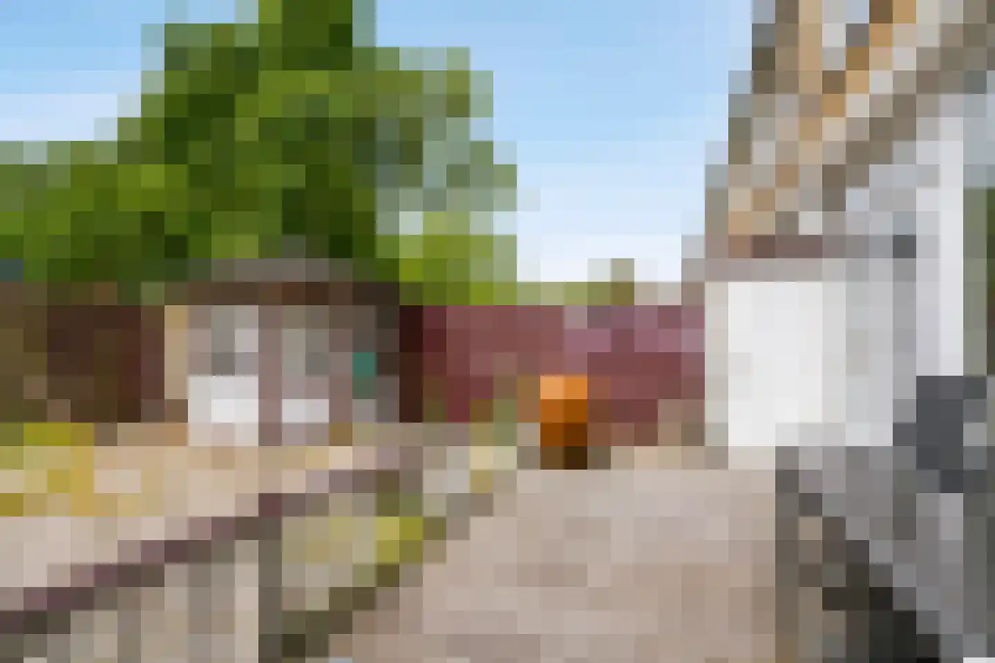 Graan voor Visch 18506 Hoofddorp thumbnail 31