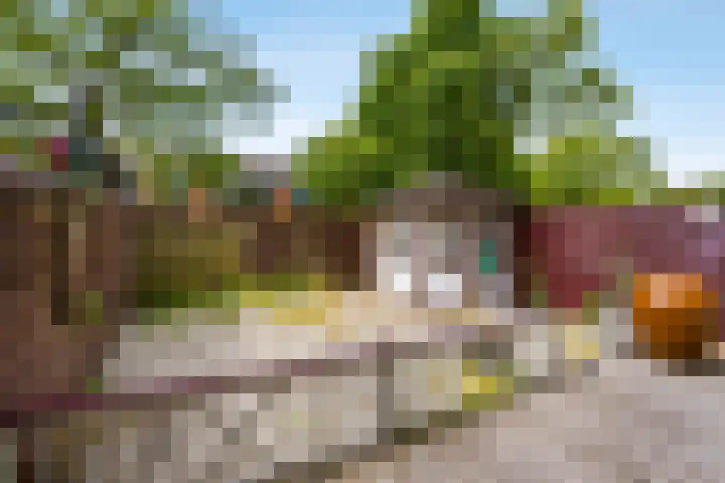 Graan voor Visch 18506 Hoofddorp thumbnail 32