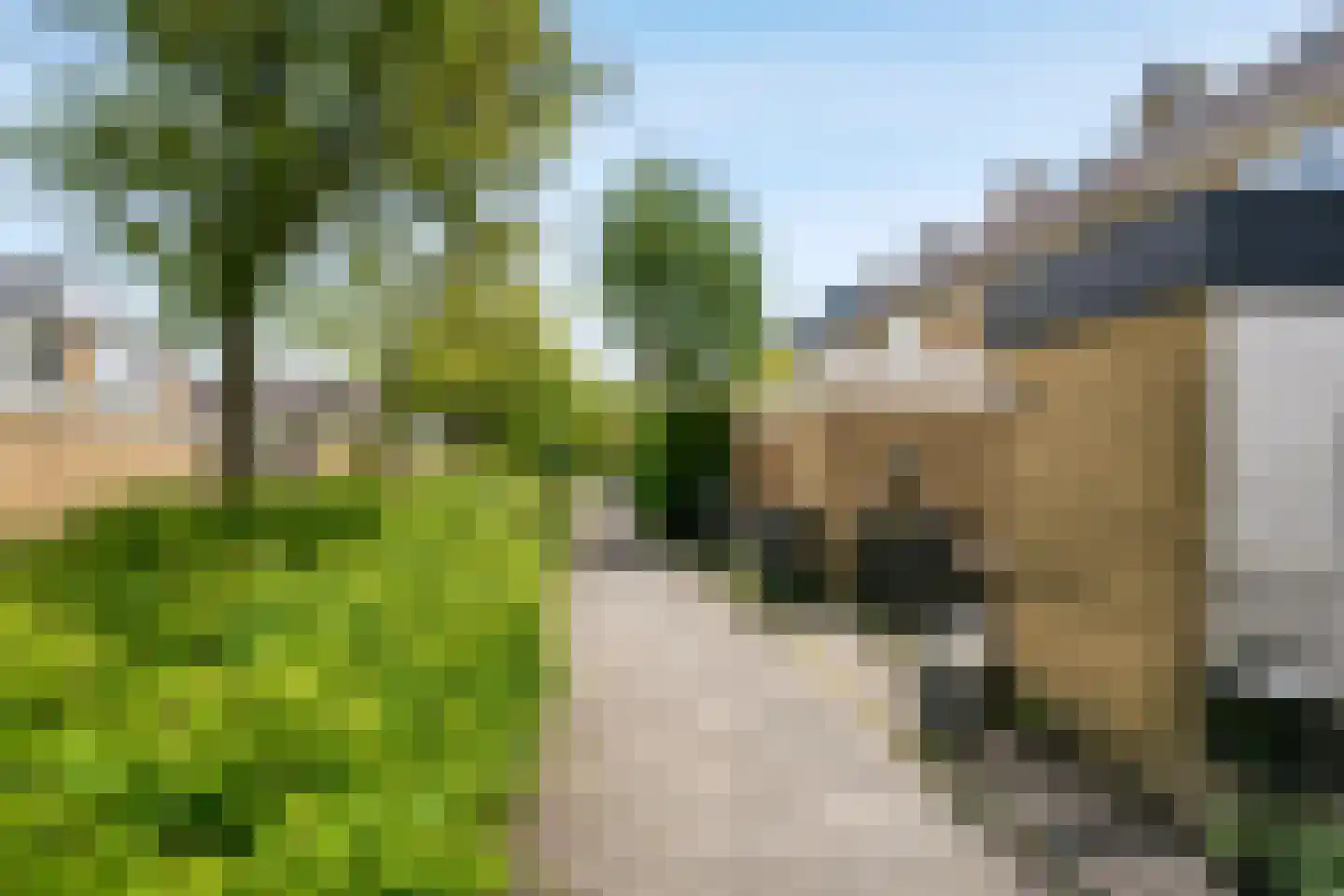 Graan voor Visch 18506 Hoofddorp thumbnail 39