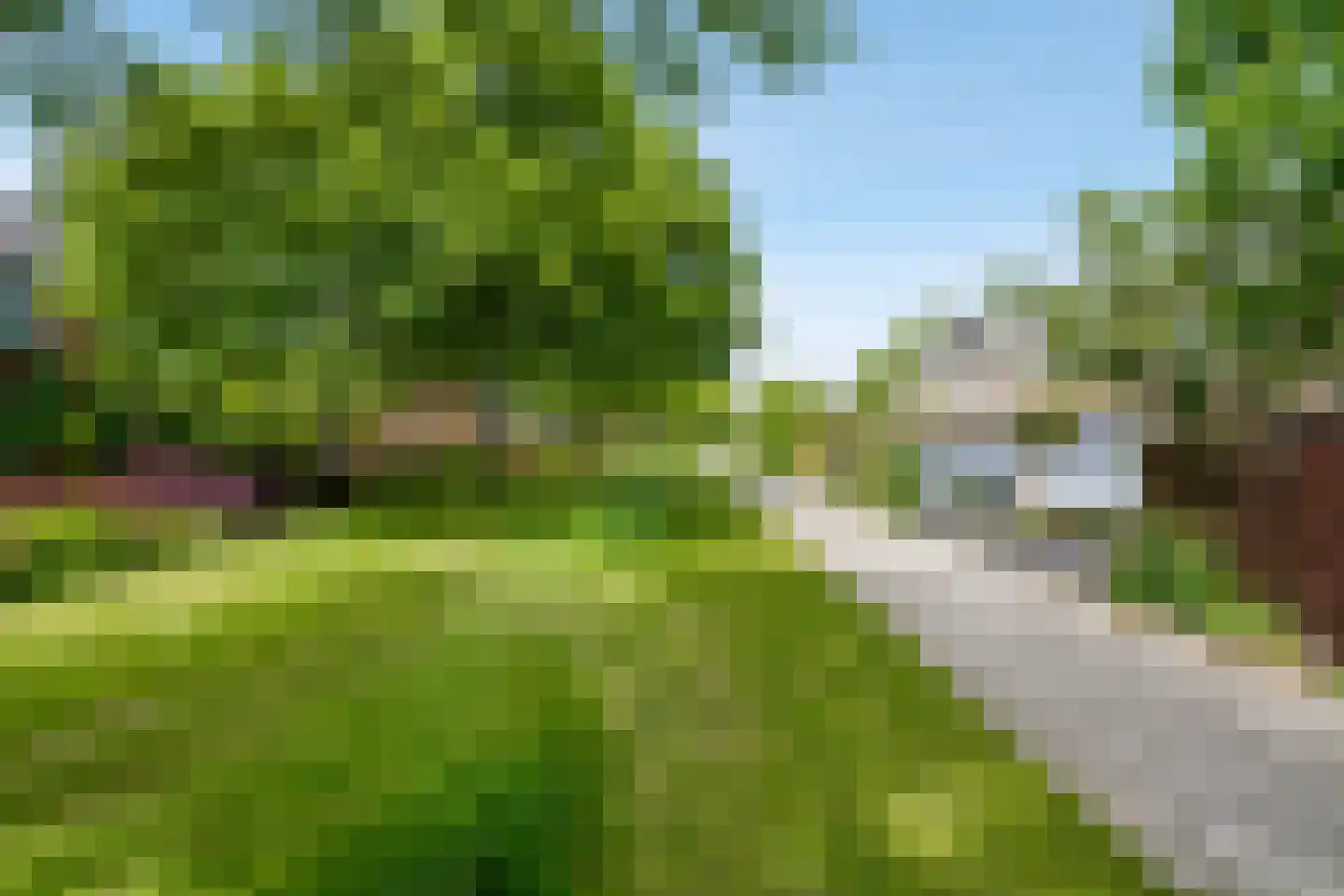 Graan voor Visch 18506 Hoofddorp thumbnail 44