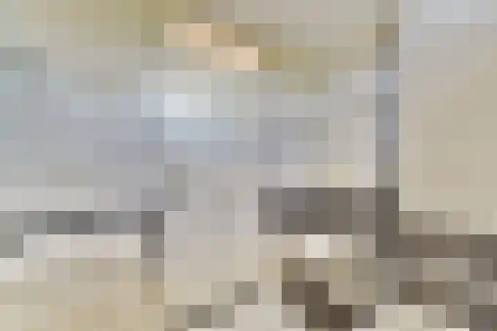 Graan voor Visch 18514 Hoofddorp thumbnail 11