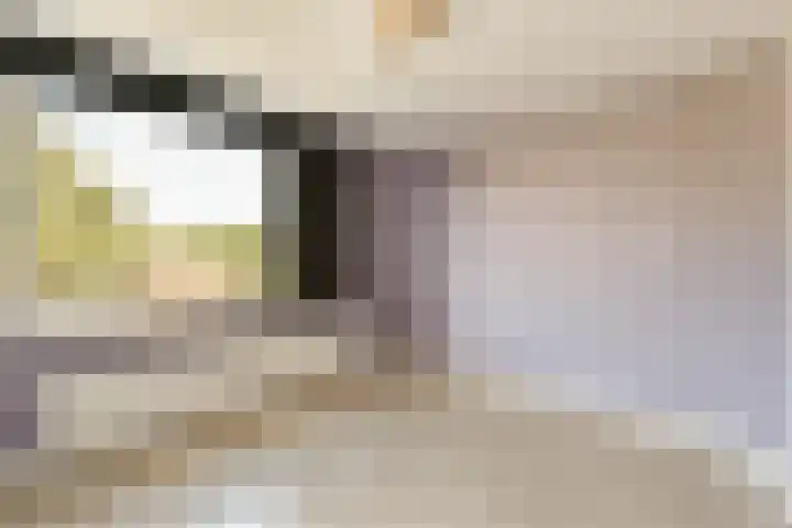 Graan voor Visch 18514 Hoofddorp thumbnail 12