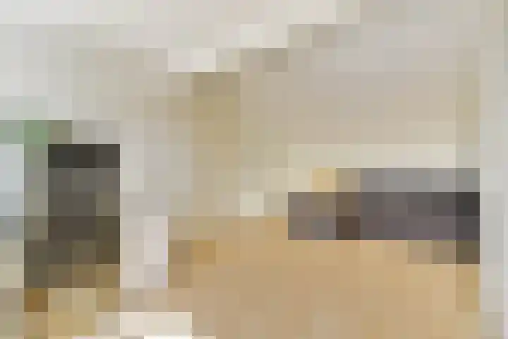 Graan voor Visch 18514 Hoofddorp thumbnail 16
