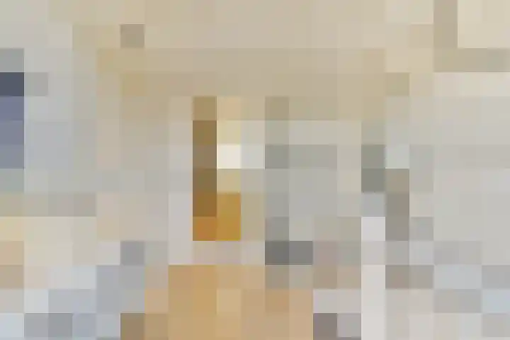 Graan voor Visch 18514 Hoofddorp thumbnail 17