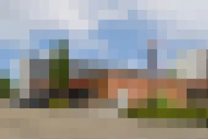 Graan voor Visch 18514 Hoofddorp thumbnail 19