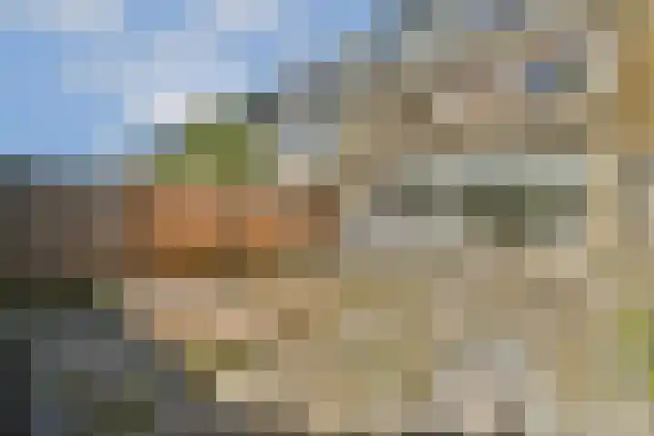 Graan voor Visch 18514 Hoofddorp thumbnail 4