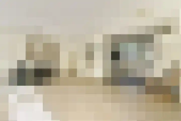 Graan voor Visch 18514 Hoofddorp thumbnail 5