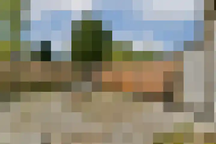 Graan voor Visch 18514 Hoofddorp thumbnail 7