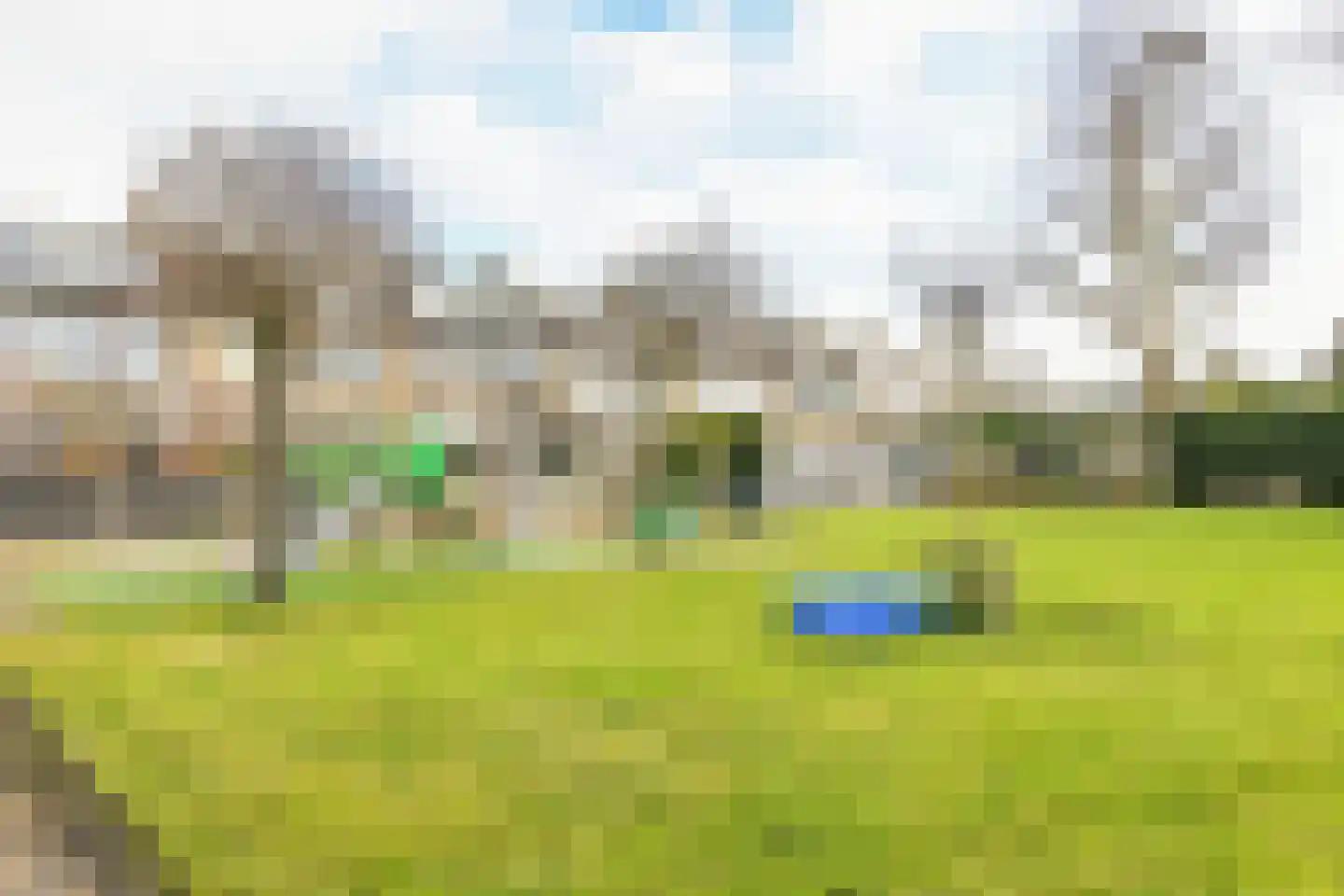 Graan voor Visch 18610 Hoofddorp thumbnail 13